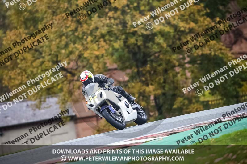 anglesey;brands hatch;cadwell park;croft;donington park;enduro digital images;event digital images;eventdigitalimages;mallory;no limits;oulton park;peter wileman photography;racing digital images;silverstone;snetterton;trackday digital images;trackday photos;vmcc banbury run;welsh 2 day enduro